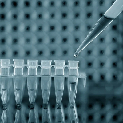 RT PCR 테스트 키트 Monkeypox 바이러스 MPXV CE 등록 1 테스트/박스