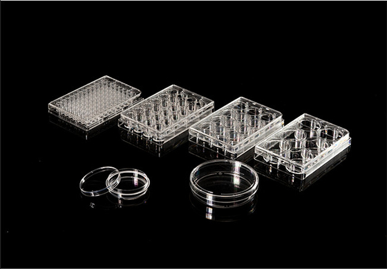 ISO13485 폴리스티렌 PCR 소모품 6 웰 세포 배양 플레이트