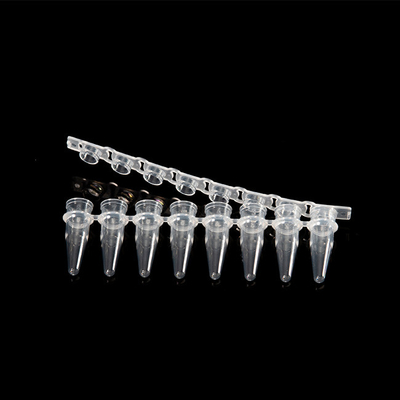 0.2ml 8 스트립 PCR 튜브